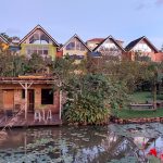 Yellow Haven Lodge