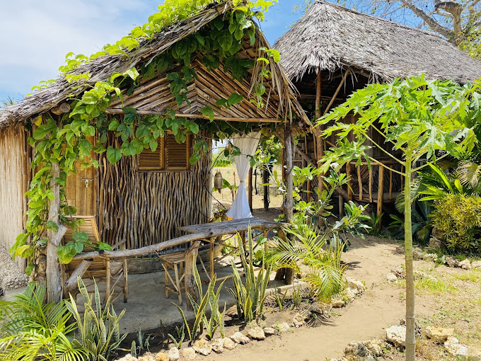 Baobab Dream House