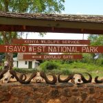Tsavo West National Park