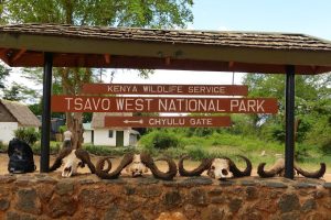 Tsavo West National Park