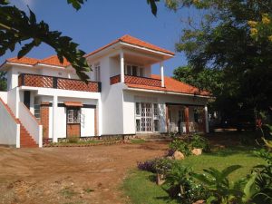 Alison & Dave’s Guest House