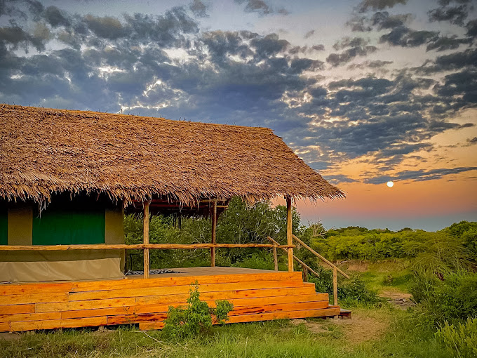 Amazing Mara Camp
