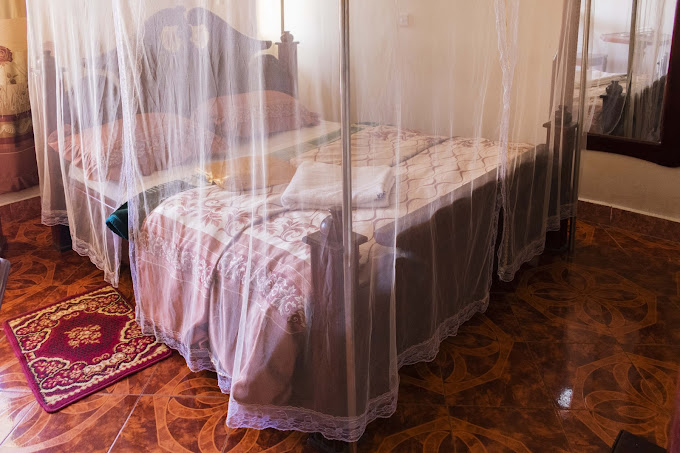 Hotel Bema