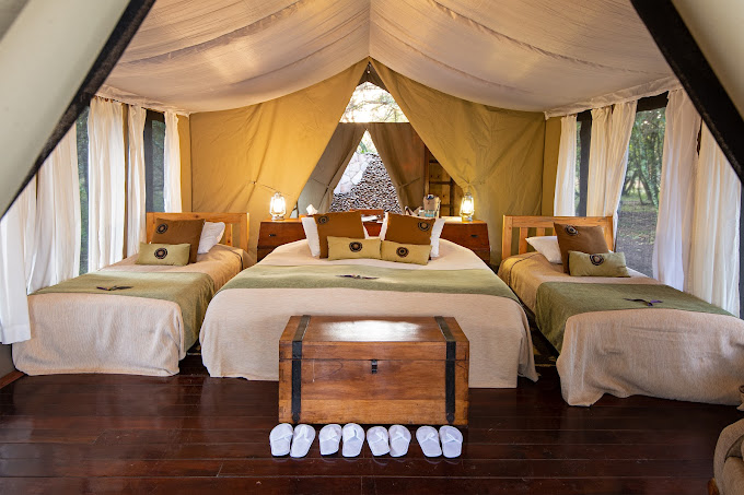 Karen Blixen Camp, Mara North Conservancy, Masai Mara