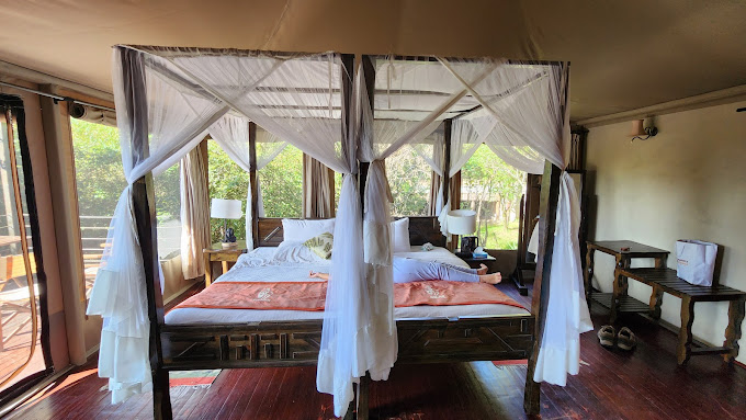 Ashnil Mara Camp