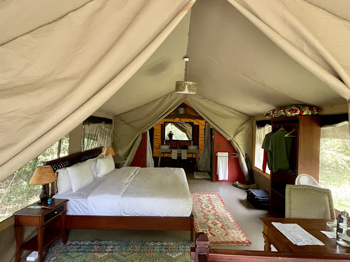 Olive Bush Camp