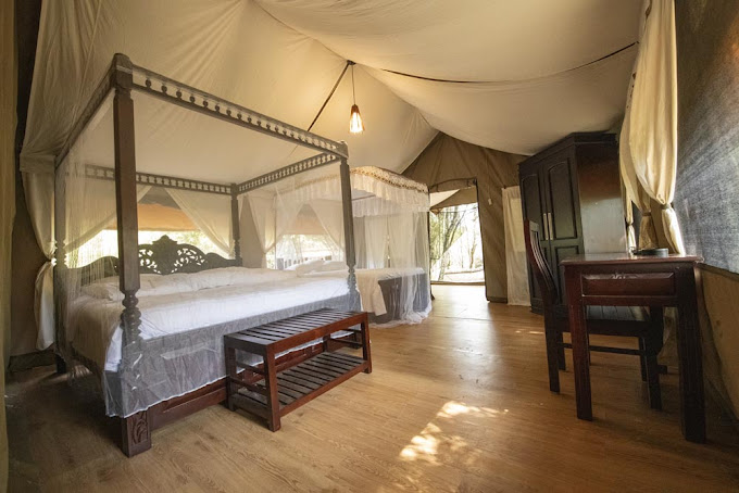 Lorian safari camp