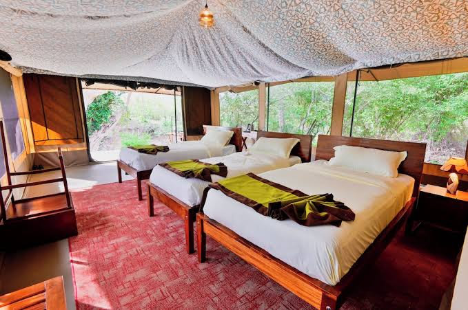 Mtito Safari Camp