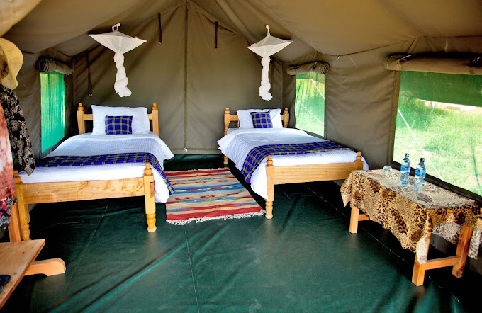 Fisi Camp