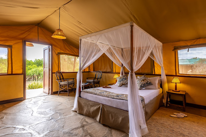 Sentrim Tsavo East