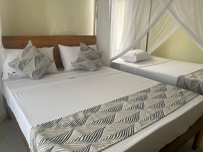 The Avid Hotel