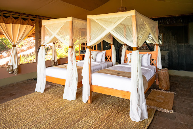 Soroi Cheetah Tented Camp