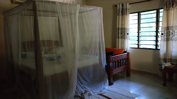 Mango villa