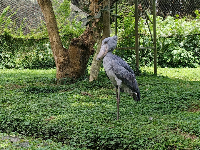 Uganda Wildlife Conservation Education Centre
