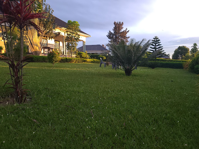 Orchard Home Homestay