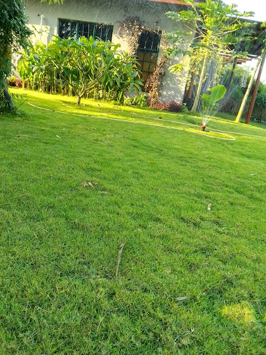 Lesa Garden Hotel