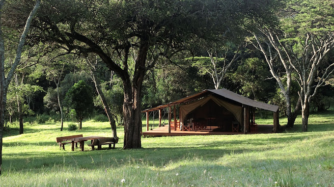 ENKOPIRO CAMP Maasai Mara
