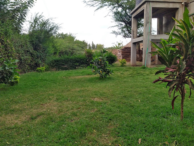 Royal Luxury Apartments, Taveta