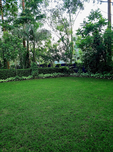 Major Mwale Resort&spa.