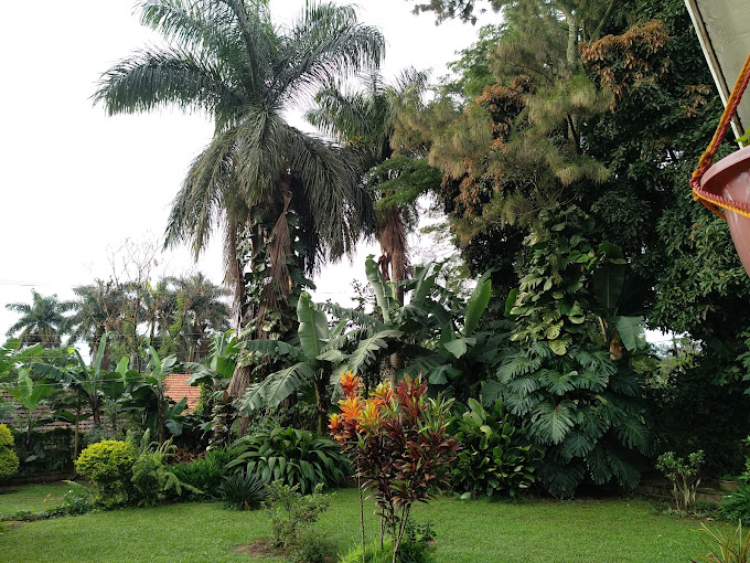 Colonial Residence