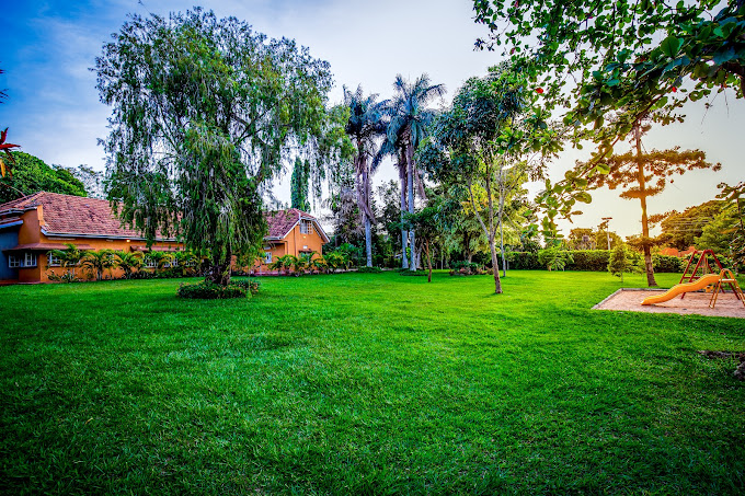 Hummingbird Camp