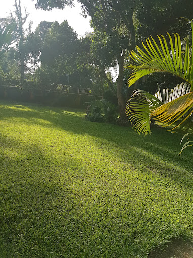 Entebbe crane guesthouse