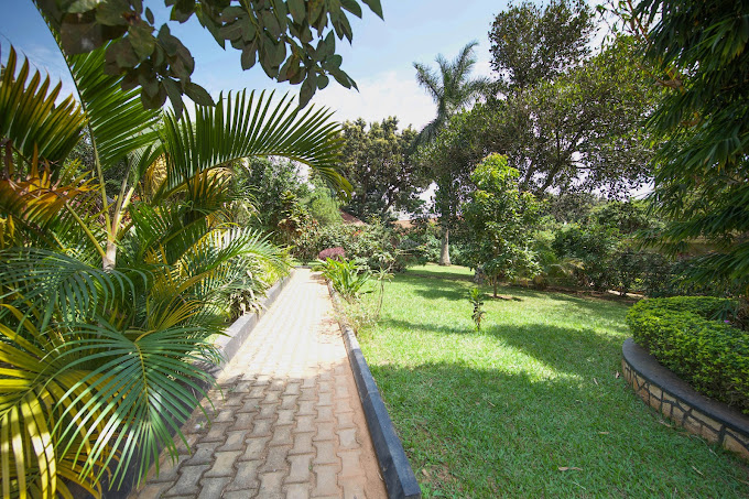 Papyrus Guest House