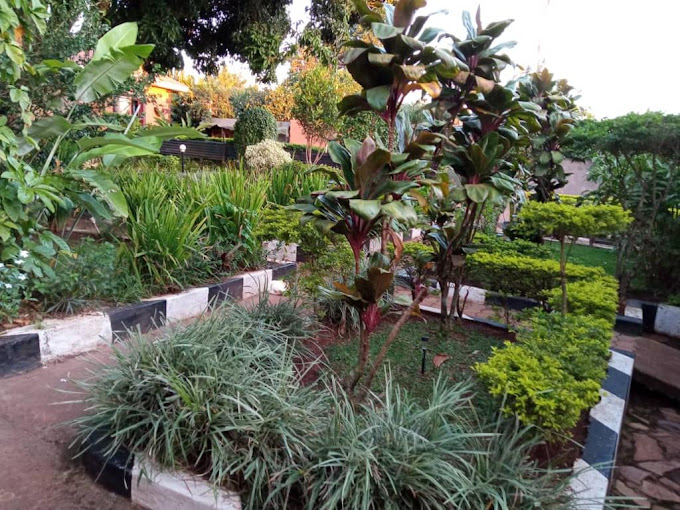 Gorilla Africa Guest House – Entebbe, Uganda