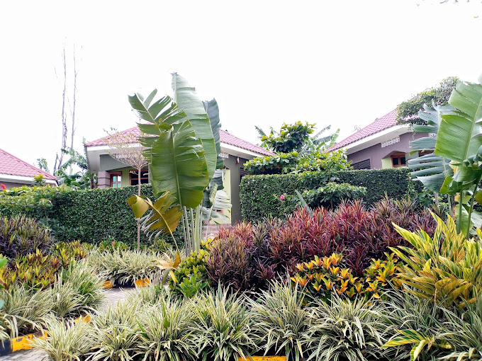 Dream Wood Suites mbarara