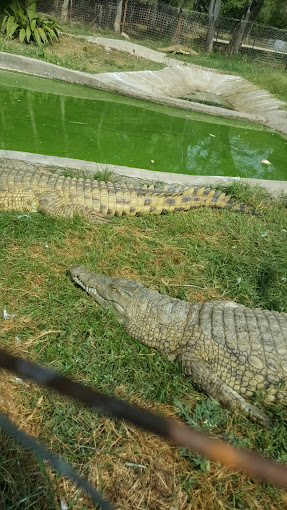 El’molo Crocodile Park And Lodge