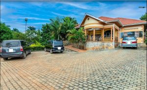Entebbe crane guesthouse