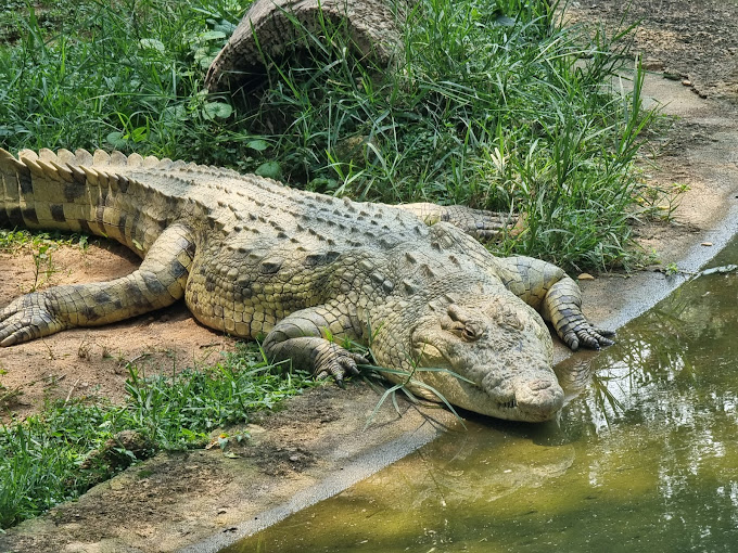 Uganda Wildlife Conservation Education Centre