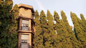 Discovery Courts Hotel