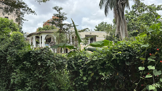 Egg Botanical Hotel