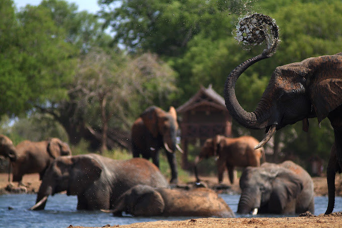 Satao Camp