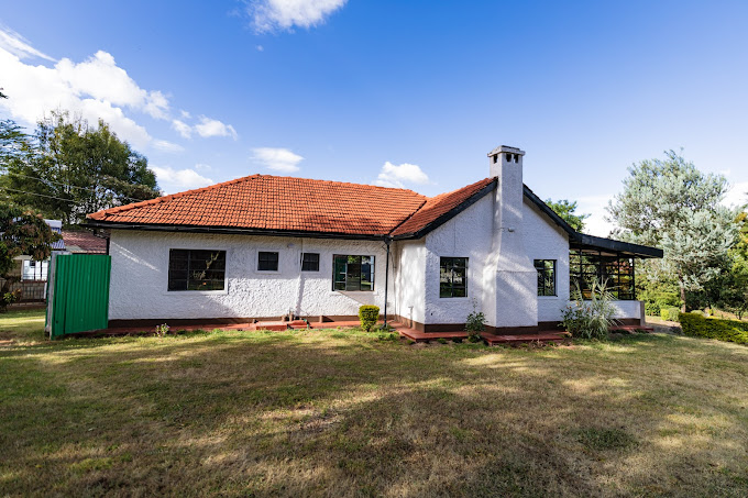 Eldopalm Guesthouse