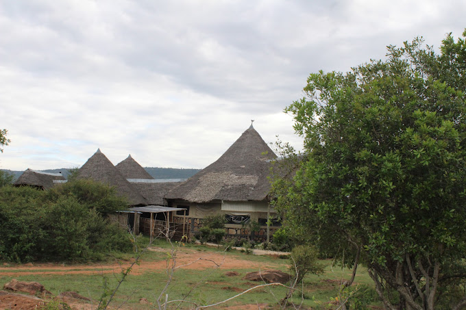 Explore Nature Mara lodge