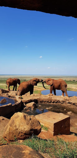 Tsavo Lodge voi