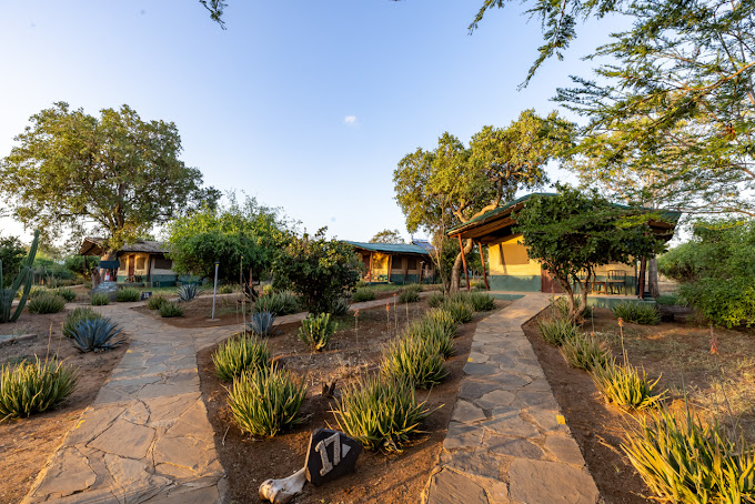 Sentrim Tsavo East