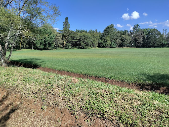 Kenmosa Gardens