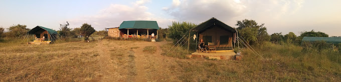 Fisi Camp
