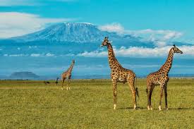 Chyulu Hills National Park