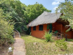 Gosana Eco Nature