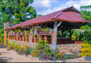 Jambo Afrika Getaway Resort