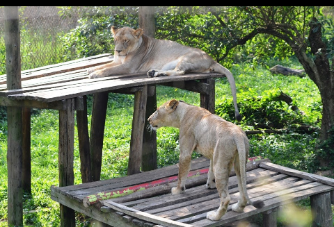 Uganda Wildlife Conservation Education Centre