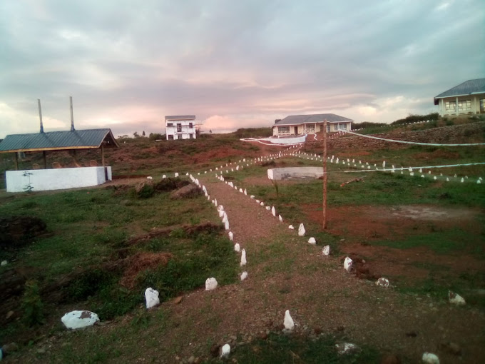 Lenya Paradise