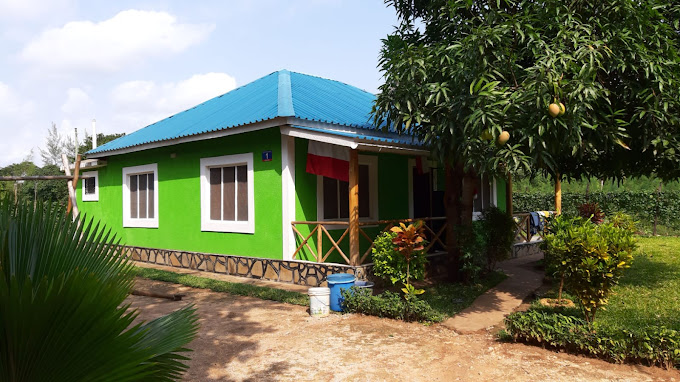 Mango Tree House 1