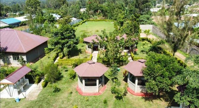 Markhamia Gardens Bungoma