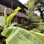 Naiberi River Campsite and Resort