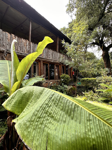 Naiberi River Campsite and Resort